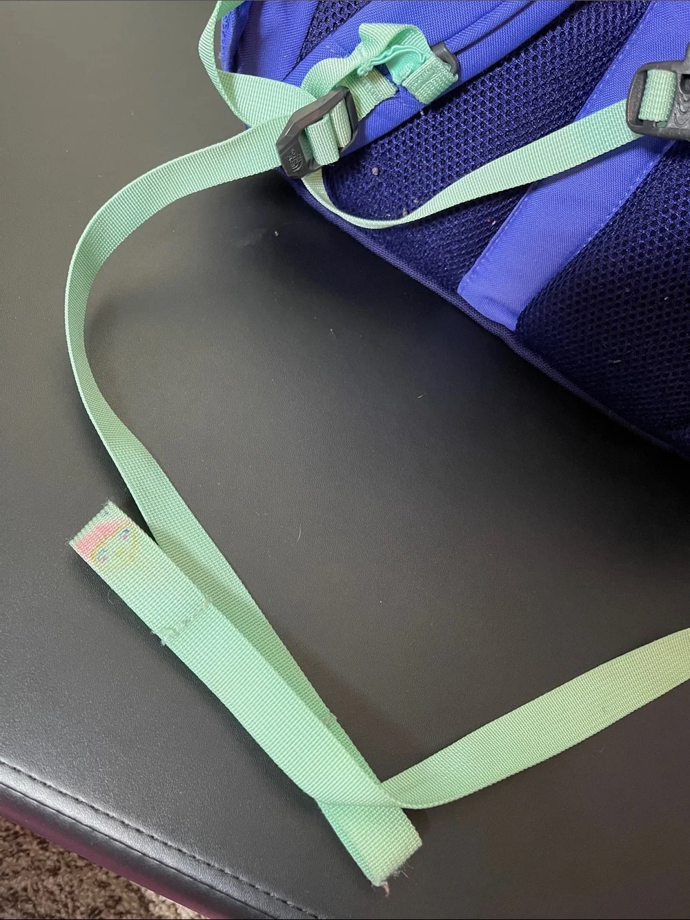 The North Face Blue and Navy Backpack with Mint Accents